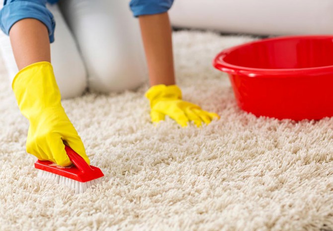 Проверенные способы эффективной чистки ковров